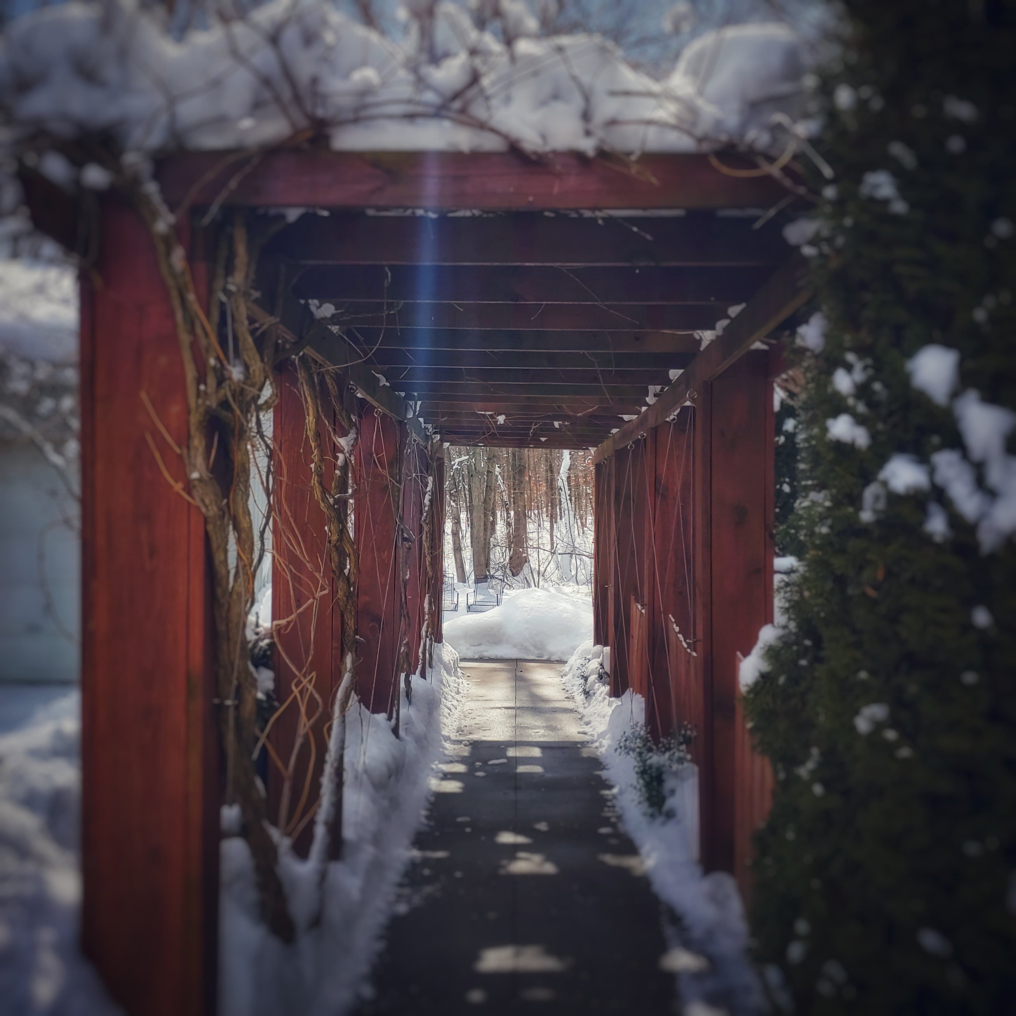 A snow-covered path runs through a wooden trellis surrounded by trees.