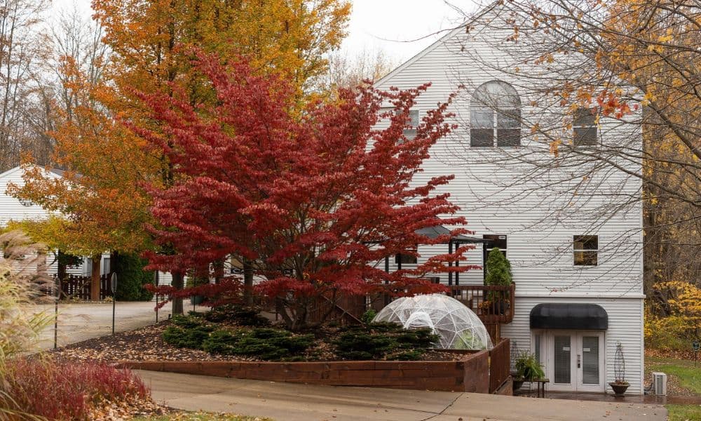 Castle in the Country exterior surrounded by fiery red and gold autumn trees in Allegan Michigan. Castle in the Country exterior surrounded by fiery red and gold autumn trees in Allegan Michigan.