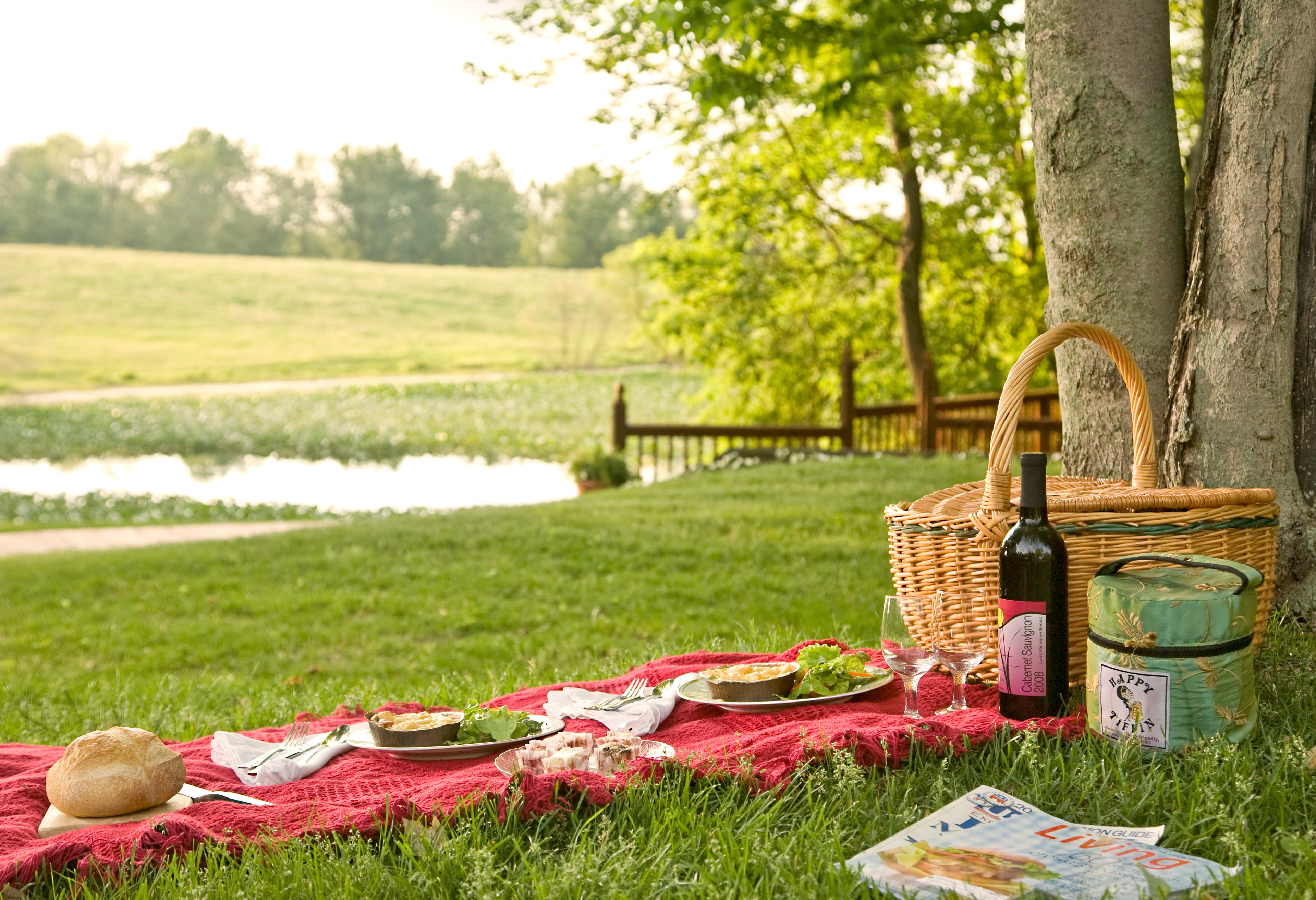 A picnic spread on a red blanket by a lake, featuring food, a bottle of wine, and a wicker basket surrounded by greenery.