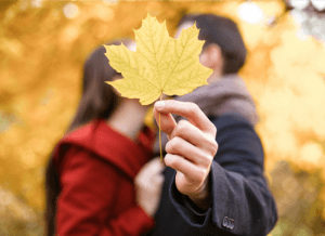 Fall Foliage in Michigan