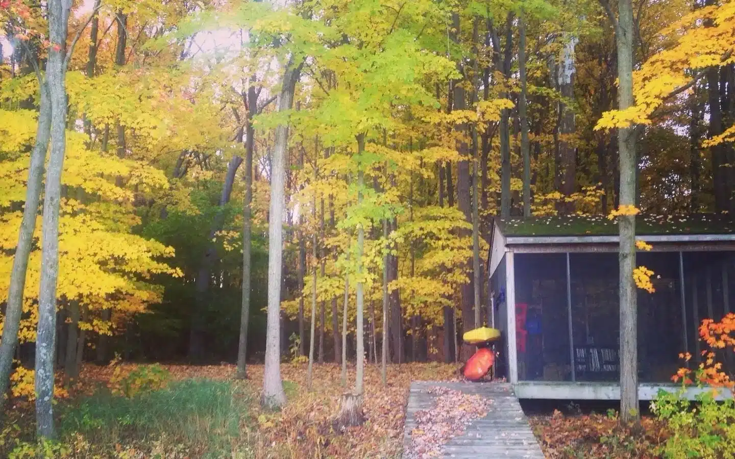 The screen house with kayaks stored on the side surrounded by fall foliage. The screen house with kayaks stored on the side surrounded by fall foliage.