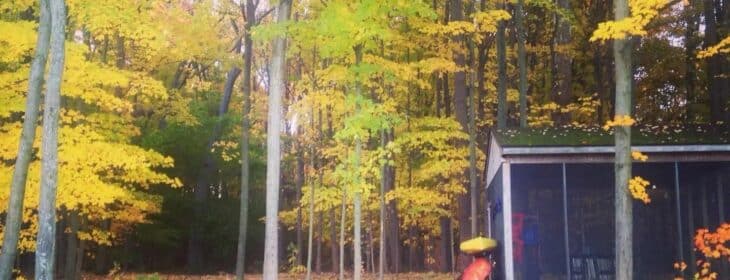 The screen house with kayaks stored on the side surrounded by fall foliage.